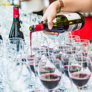 Ed's Fine Wines - Wine Tasting